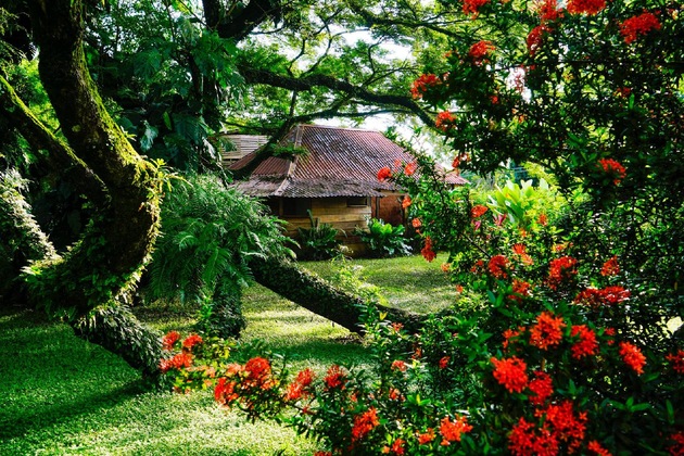 Gallery - Ecovital Costa Rica