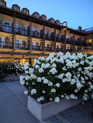 Gallery - Bauer Hotel & Restaurant