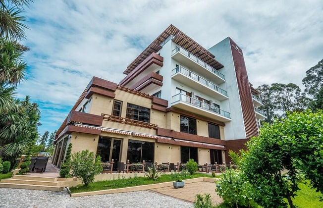 Gallery - Hotel Dreamland Oasis