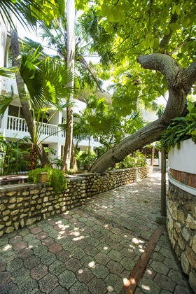 Gallery - Le Plaza Hotel