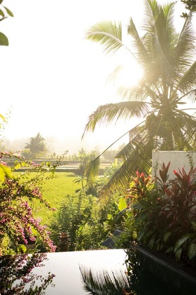 Gallery - Ubud Padi Villas
