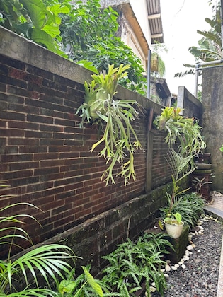 Gallery - Adi Jaya Cottages Jungle Suites By Eps