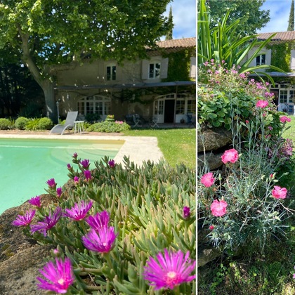 Gallery - La Sommellerie