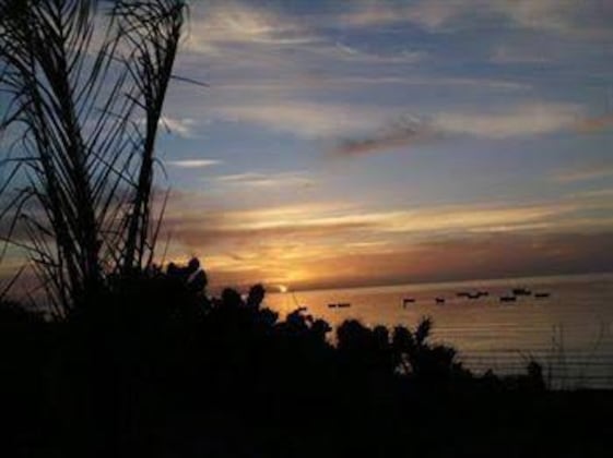 Gallery - Dar Elbidha