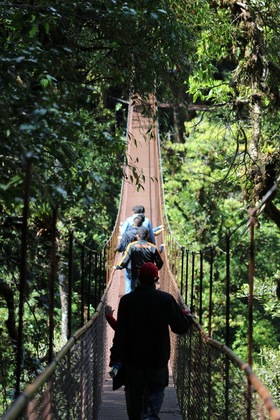 Gallery - Tree Trek Boquete Adventure Park