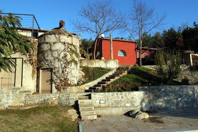 Gallery - Il Pezzatino