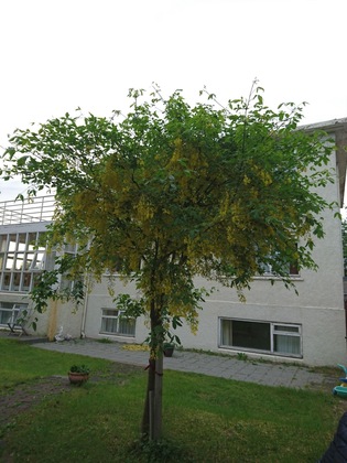 Gallery - Alba Guesthouse