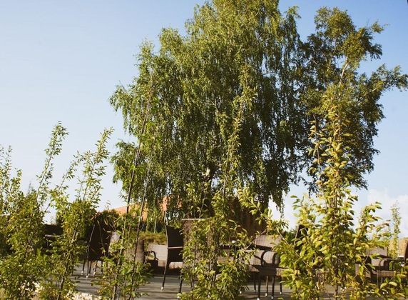 Gallery - Zaliasis Slenis - Self Check-In Hotel