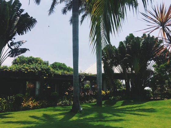 Gallery - Mount Sea Resort