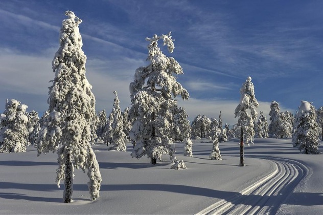 Gallery - Tyrifjord Hotell