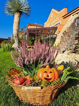 Gallery - Hotel Galanta
