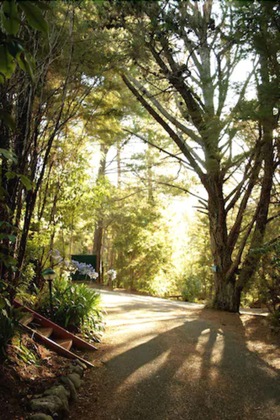 Gallery - Kimi Ora Eco Resort