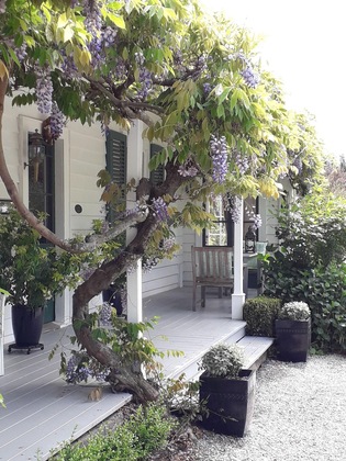 Gallery - Marlborough Bed And Breakfast