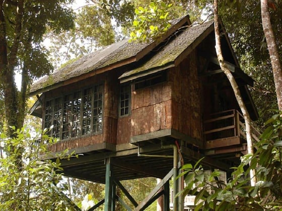 Gallery - Permai Rainforest Resort