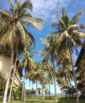 Gallery - Palm Beach Resort & Spa