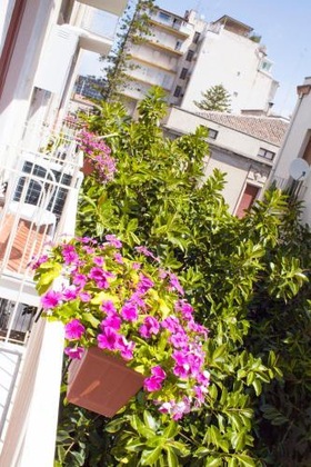 Gallery - Miro Bed And Breakfast