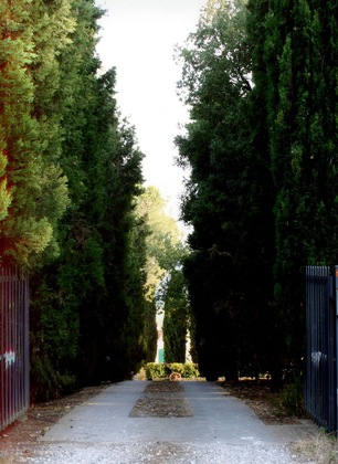 Gallery - Collina Toscana Resort