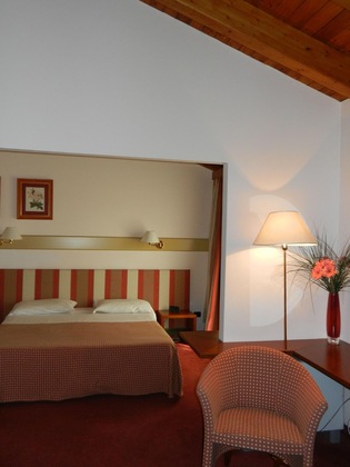 Gallery - Eurohotel Palace Maniago