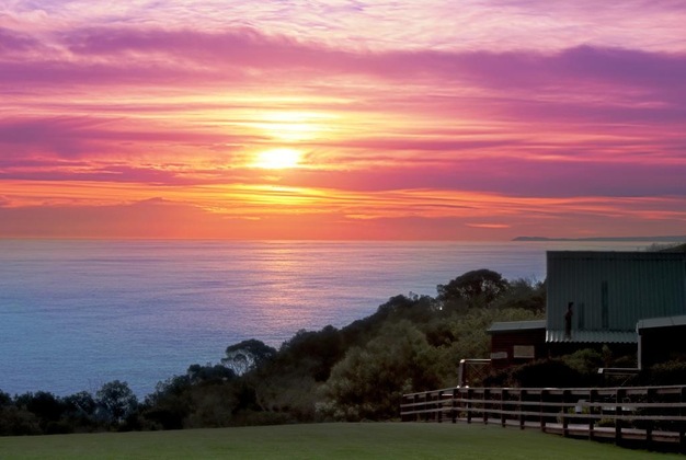 Gallery - Misty Mountain Reserve