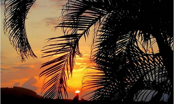 Gallery - Adventure In Paradise