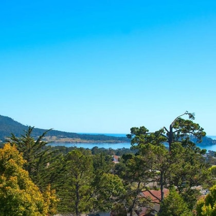 Gallery - Tradewinds Carmel
