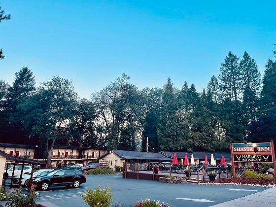Gallery - Shasta Inn