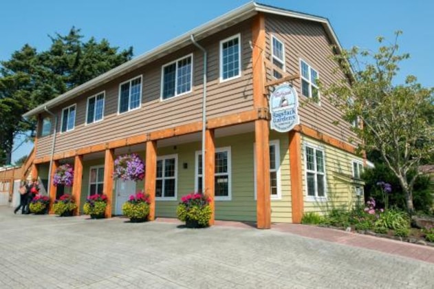 Gallery - Surfsand Resort