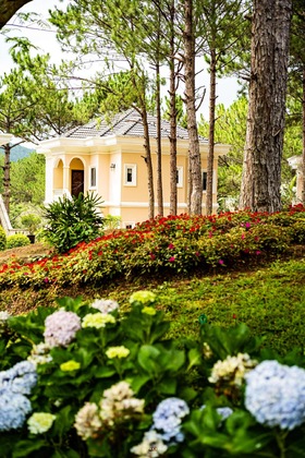 Gallery - Dalat Edensee Lake Resort & Spa