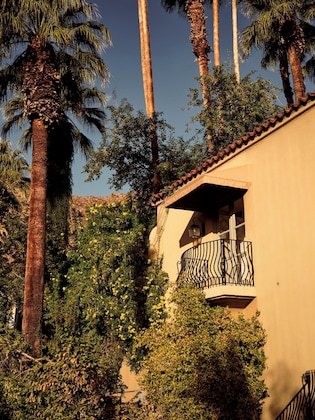 Gallery - The Willows Palm Springs