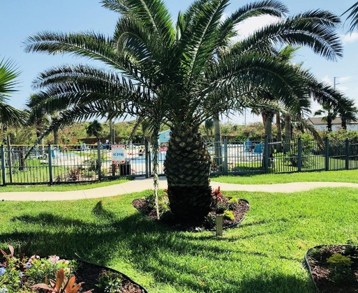Gallery - Days Inn By Wyndham Port Aransas Tx