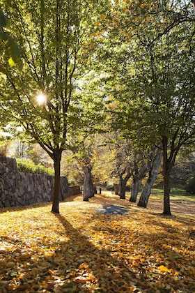 Gallery - Hesselby Slott
