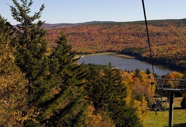 Gallery - Seneca