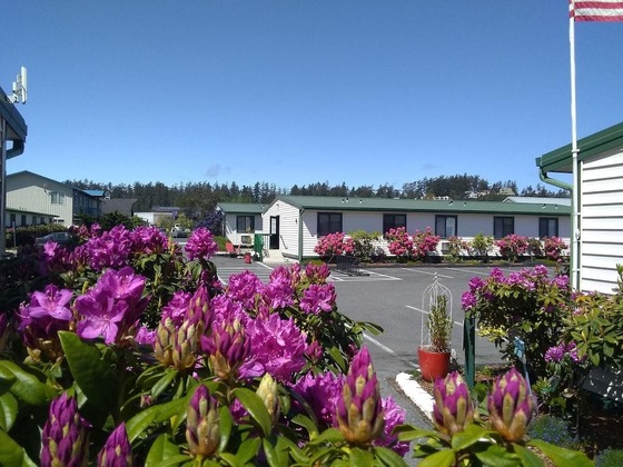 Gallery - The Orca Inn