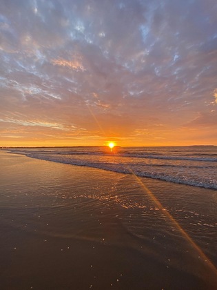 Gallery - Alouette Beach Resort