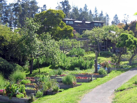 Gallery - The Stanford Inn By The Sea Eco-Resort