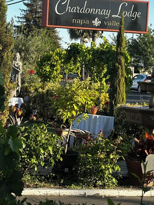 Gallery - Chardonnay Lodge
