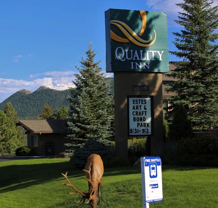 Gallery - Quality Inn Near Rocky Mountain National Park