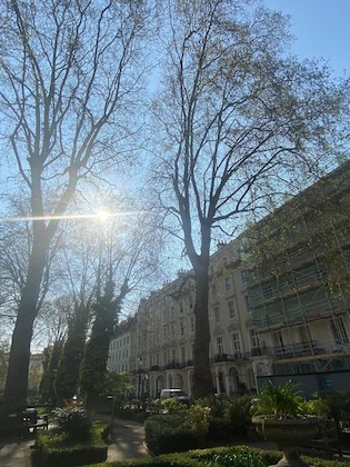 Gallery - Belvedere Hotel