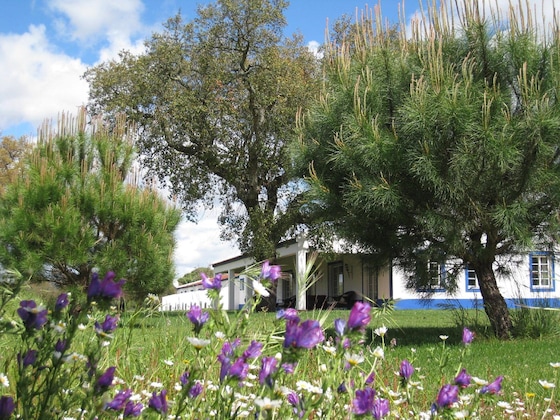 Gallery - Monte Das Faias