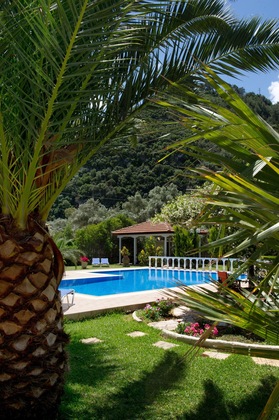 Gallery - Villa Dimitris Apartments & Bungalows