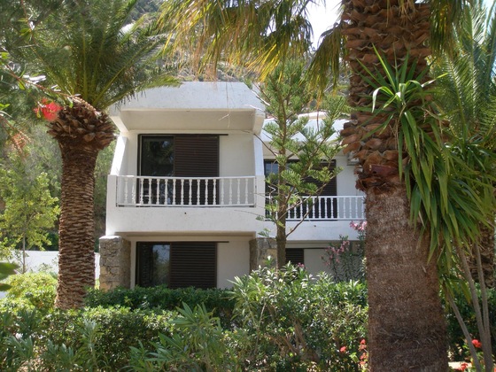 Gallery - Avra Palm
