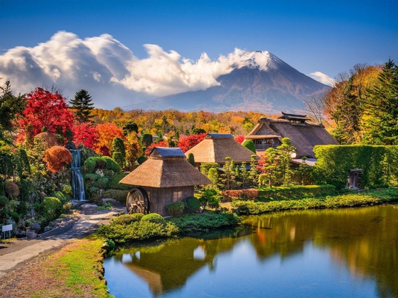 Gallery - Hotel Mt. Fuji