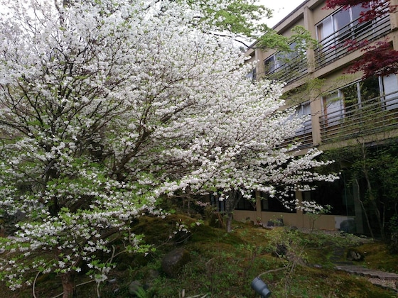 Gallery - Nikko Hoshinoyado