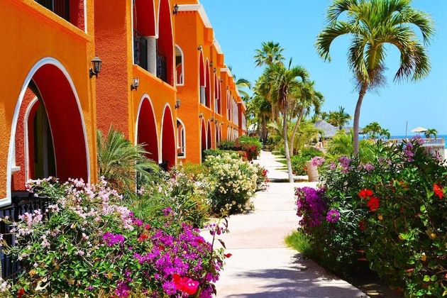 Gallery - Hotel Palmas De Cortez