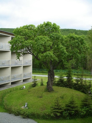 Gallery - Santa Resort Hotel