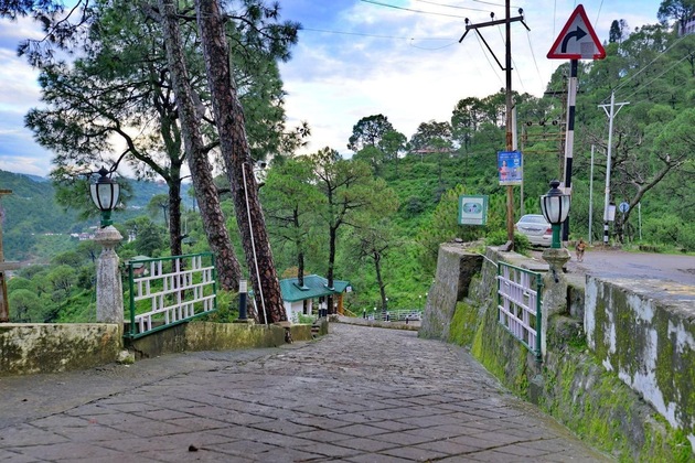 Gallery - Kasauli Exotica