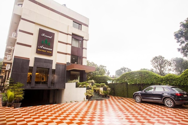 Gallery - Hotel Forest Avenue
