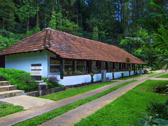 Gallery - The Tamara Coorg