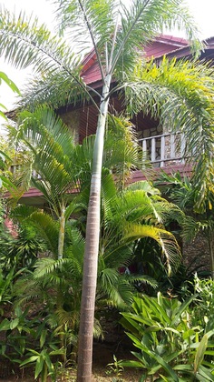 Gallery - Tara Lodge