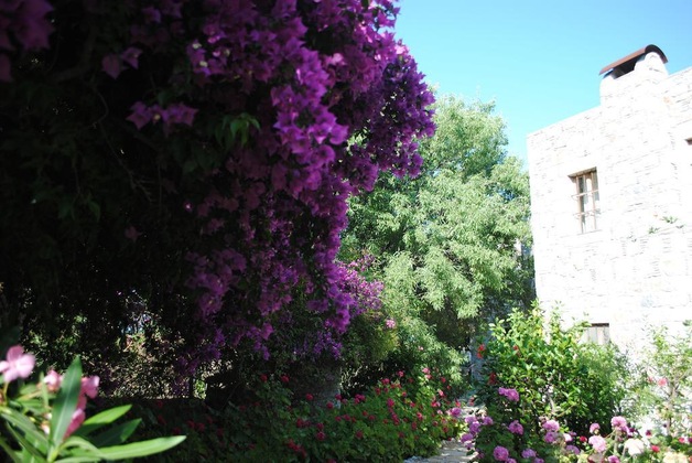 Gallery - Eski Datca Evleri